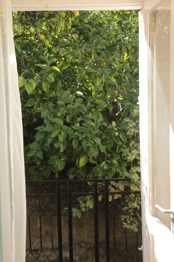 App And Rooms Tereza - In Center Korcula Town Exterior photo